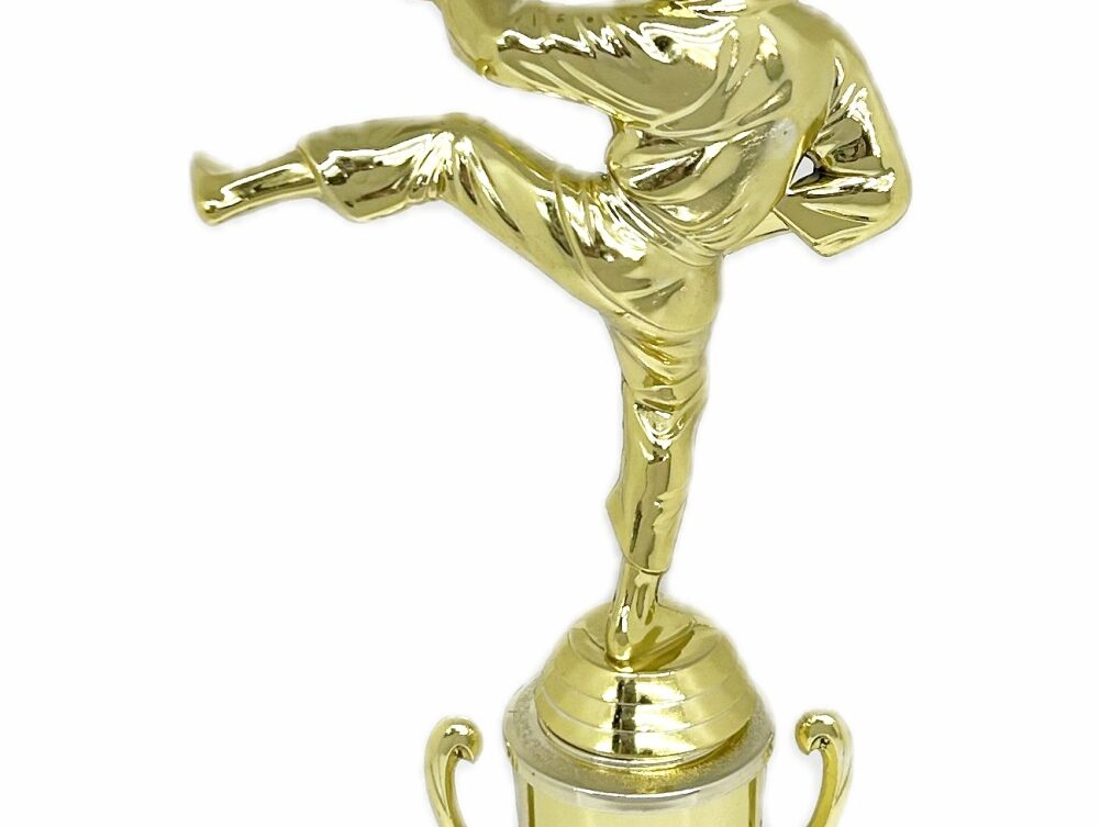 Karate Male Trophy 310mm