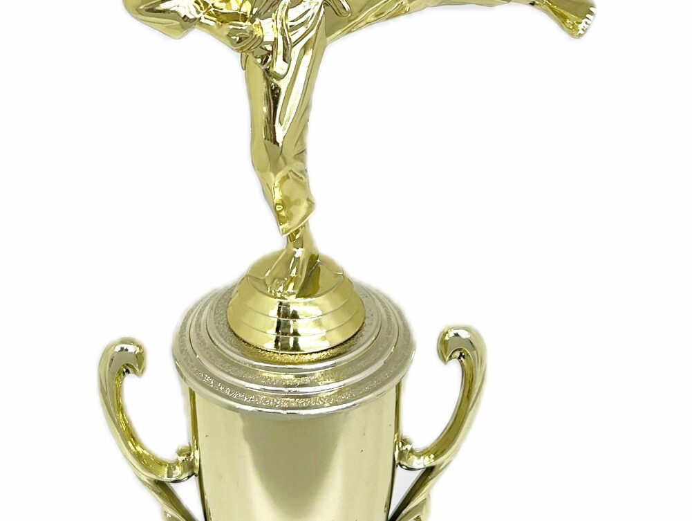 Karate Male Trophy 310mm