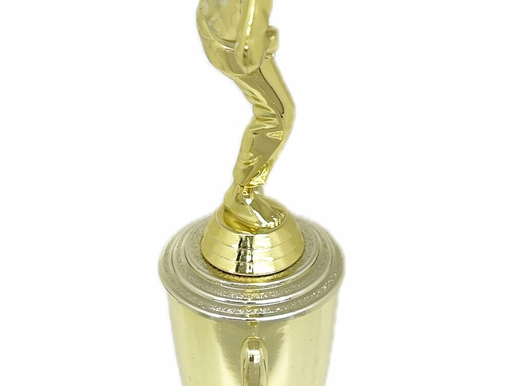 Karate Male Trophy 350mm