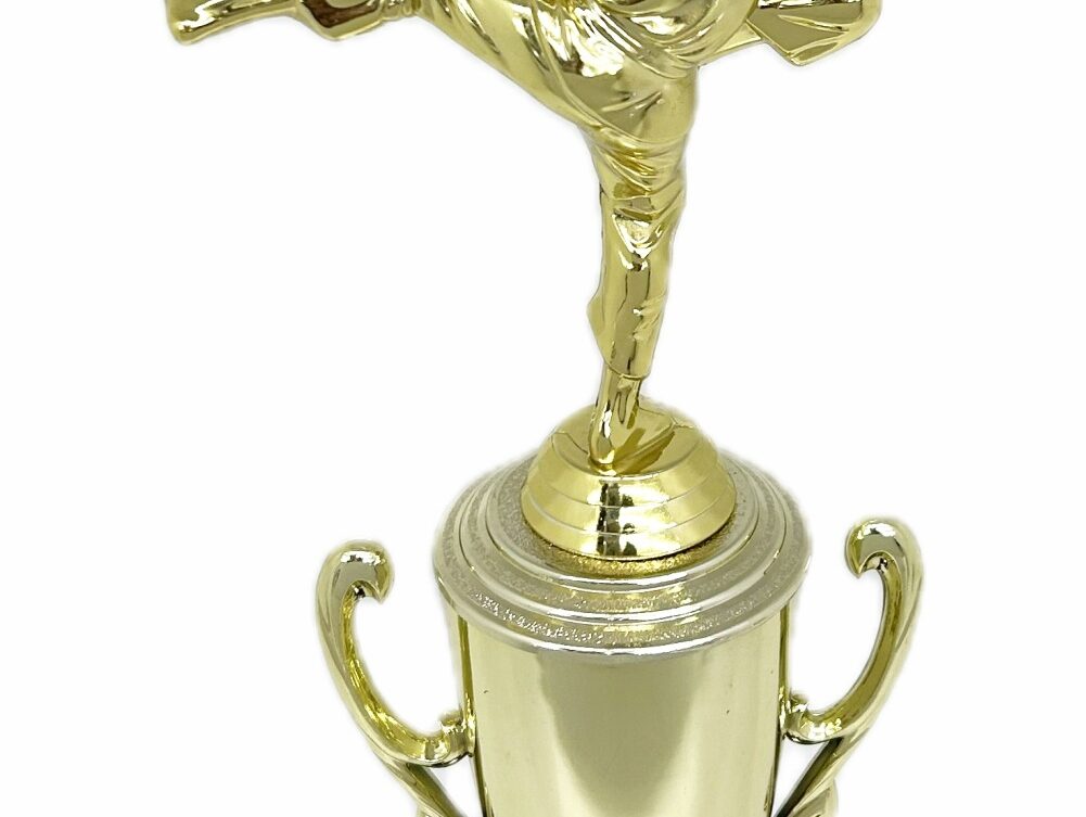 Karate Male Trophy 350mm