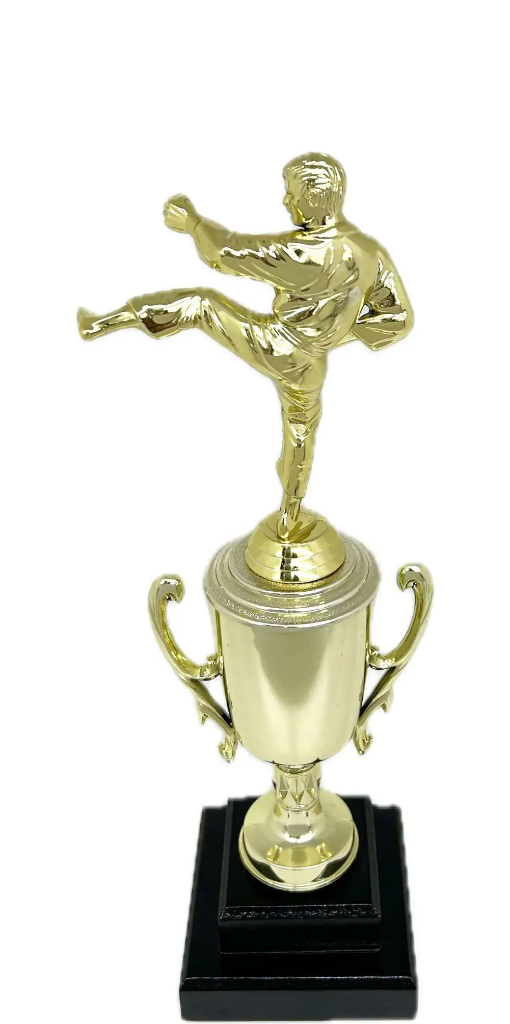 Karate Male Trophy 350mm