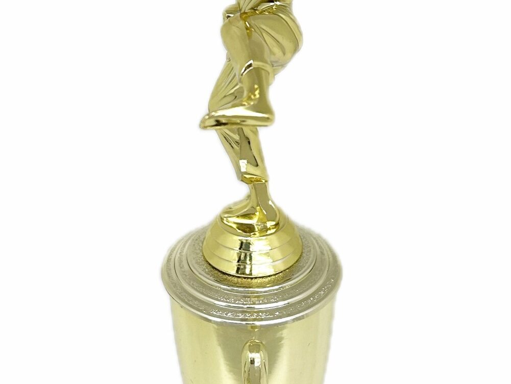 Karate Male Trophy 350mm