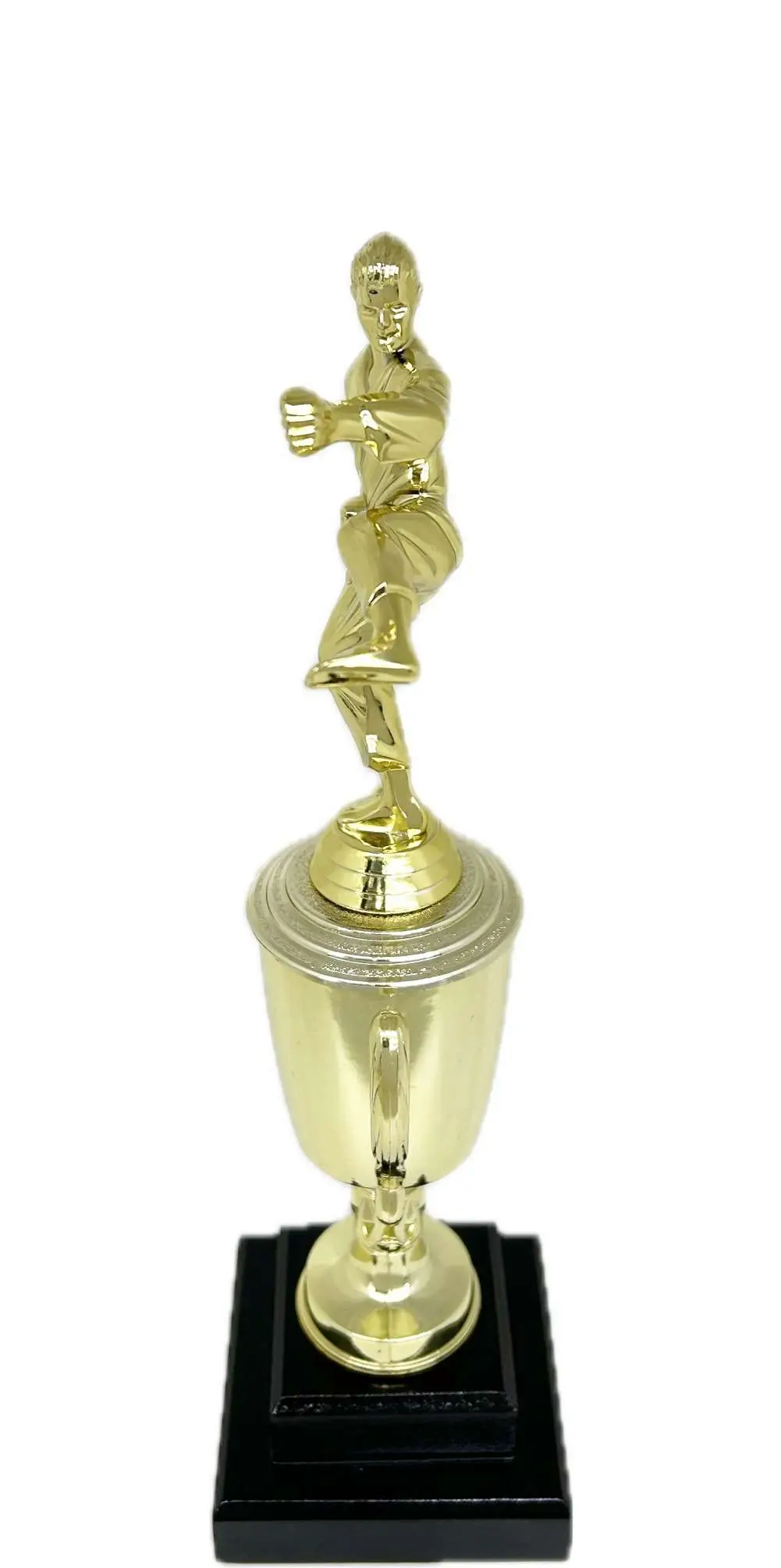 Karate Male Trophy 350mm