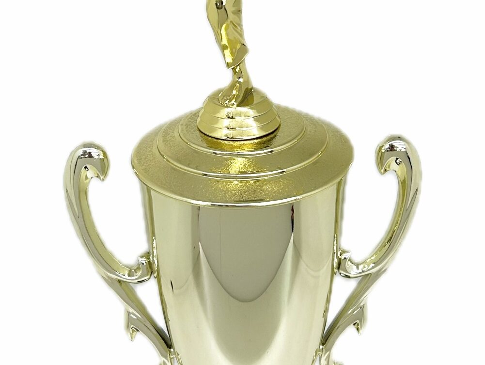 Karate Male Trophy 390mm