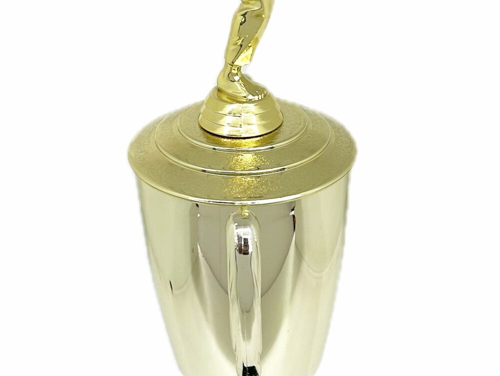 Karate Male Trophy 390mm