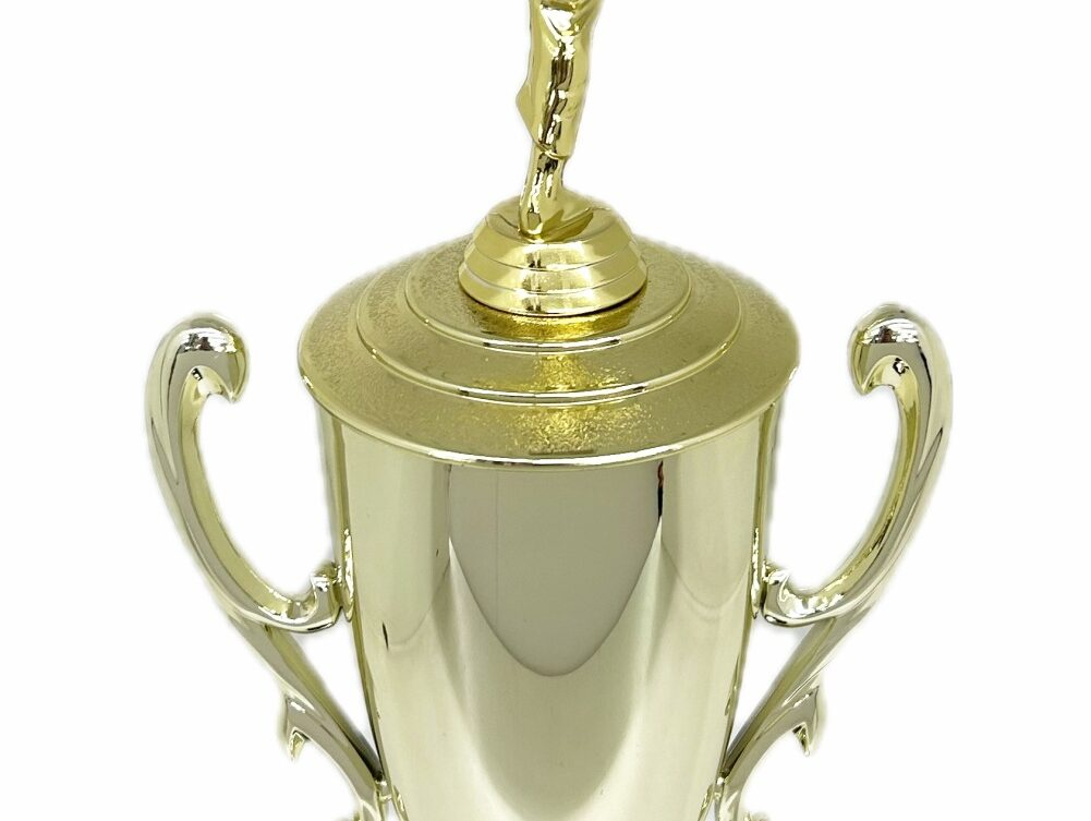 Karate Male Trophy 390mm