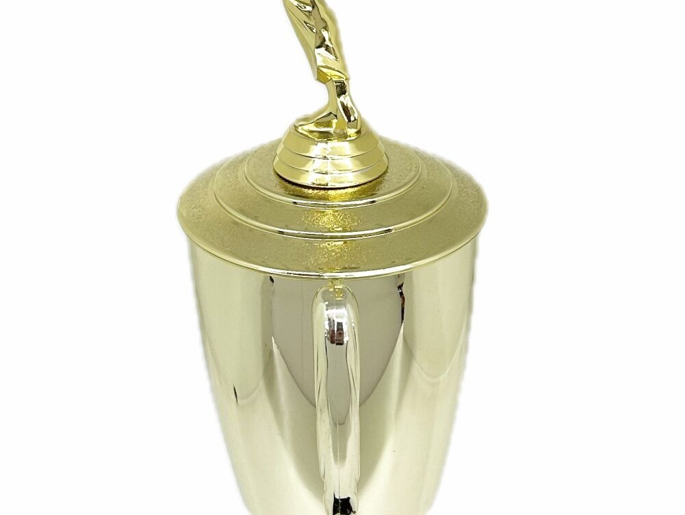 Karate Male Trophy 390mm
