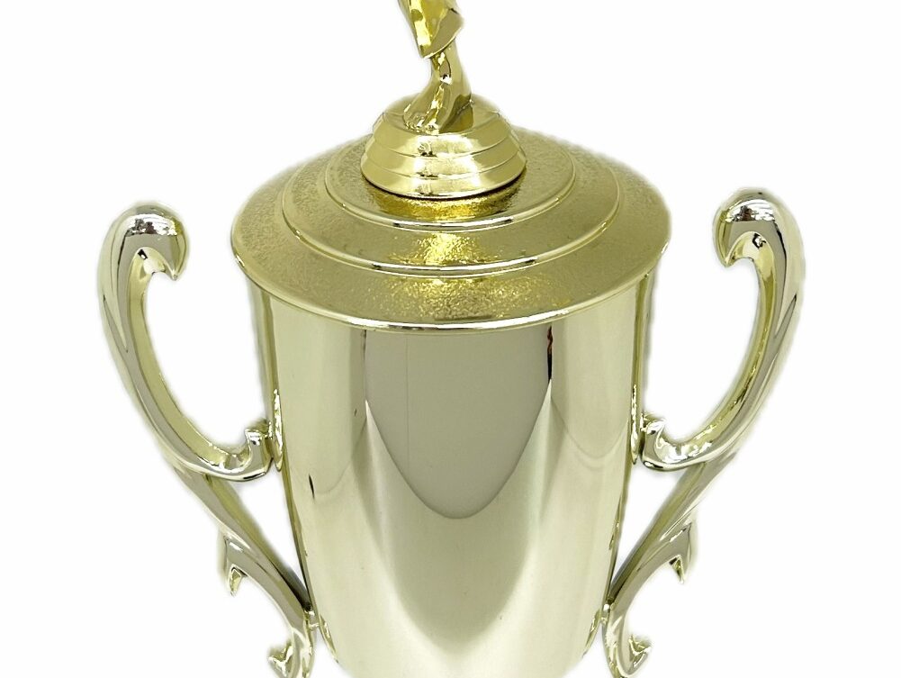 Karate Male Trophy 420mm