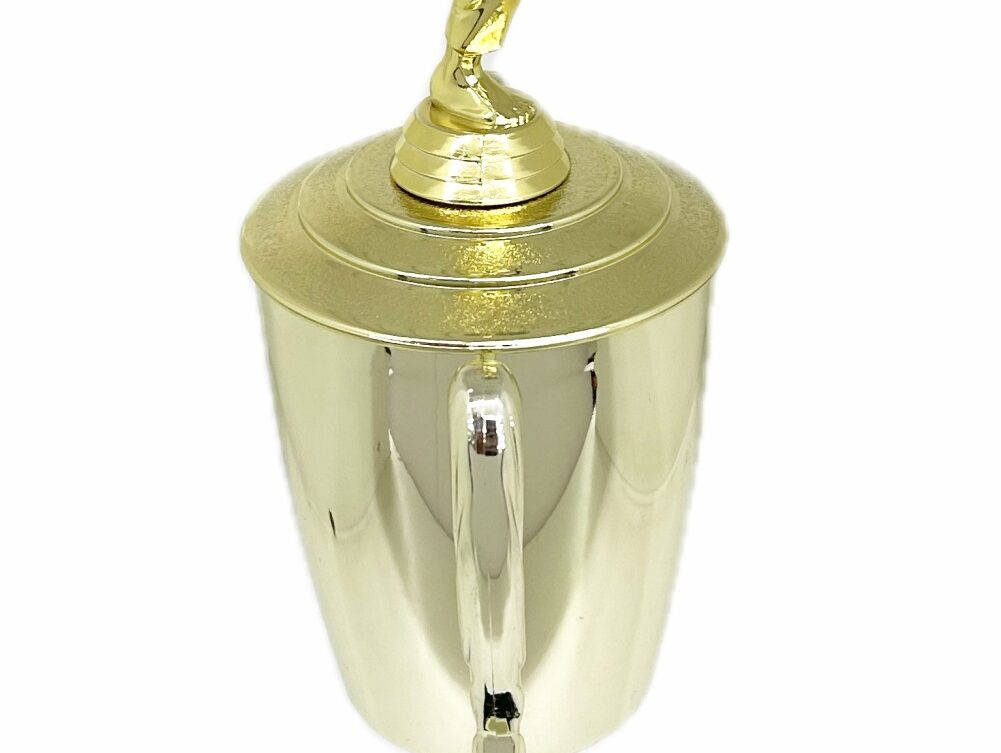 Karate Male Trophy 420mm
