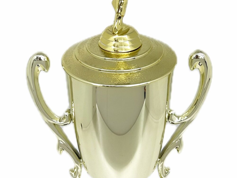Karate Male Trophy 420mm