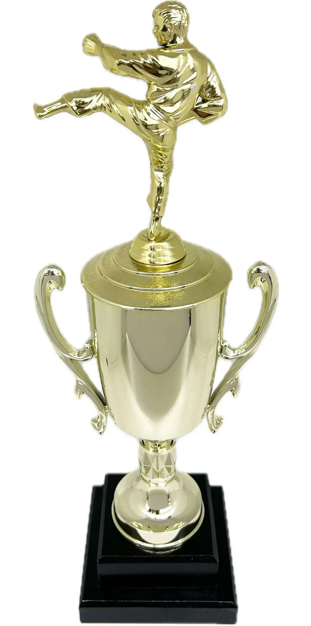 Karate Male Trophy 420mm