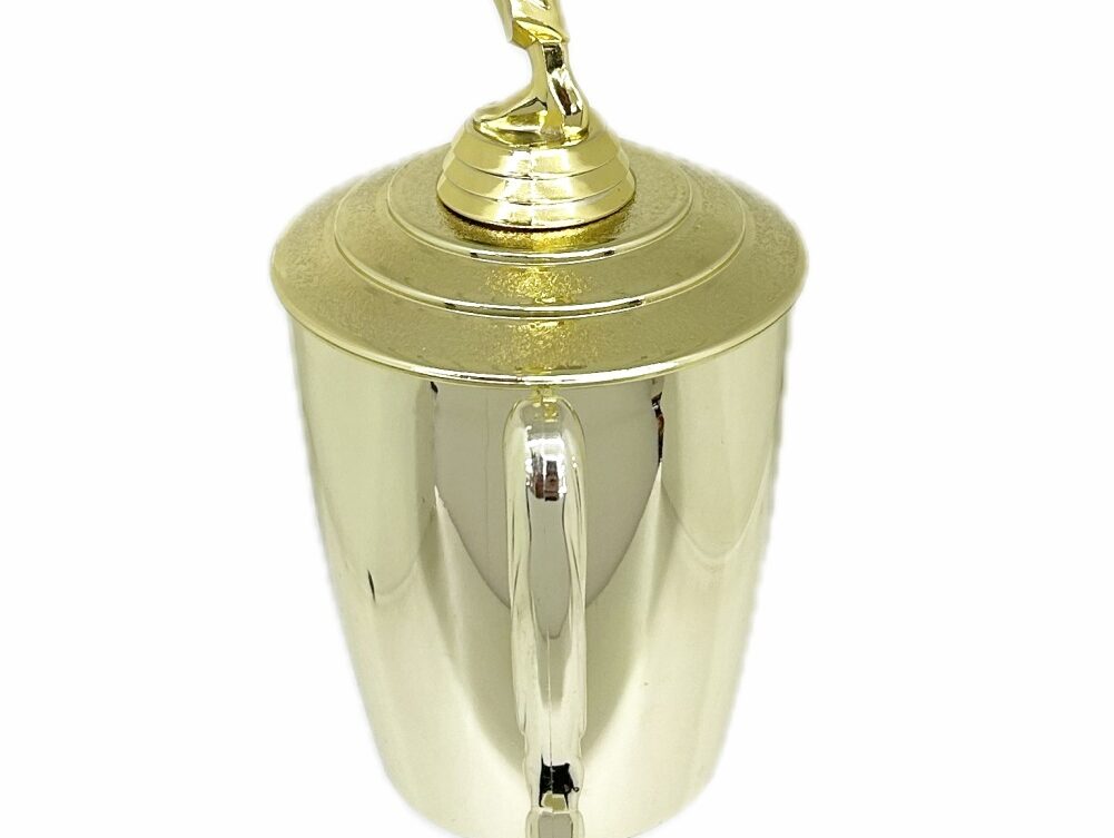 Karate Male Trophy 420mm