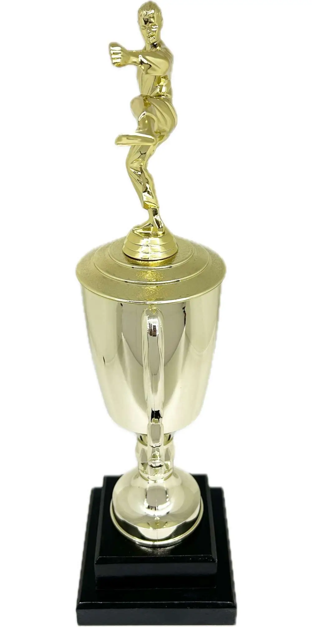 Karate Male Trophy 420mm