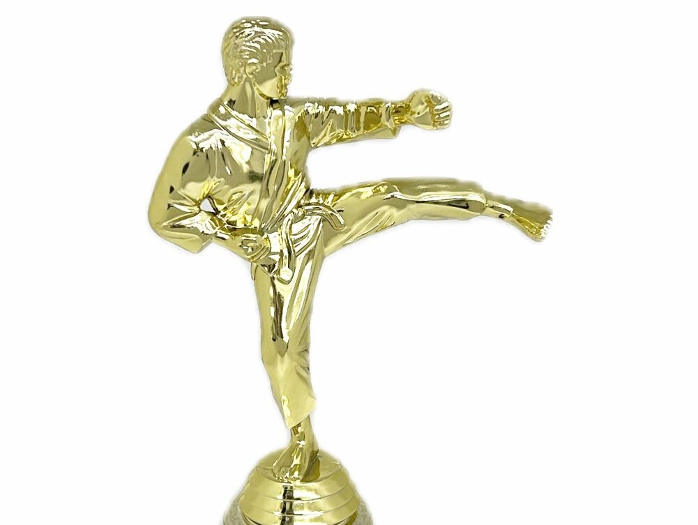 Karate Male Trophy 290mm