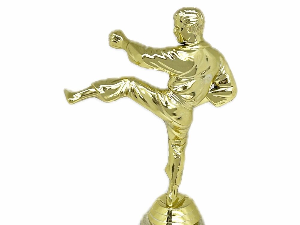 Karate Male Trophy 290mm