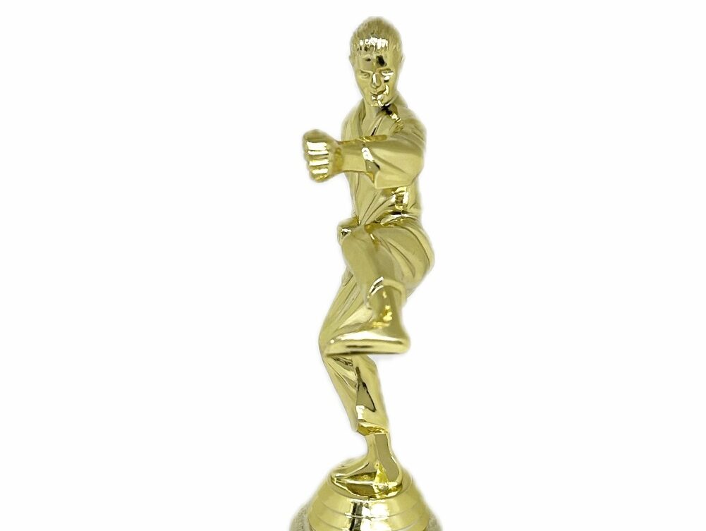 Karate Male Trophy 290mm