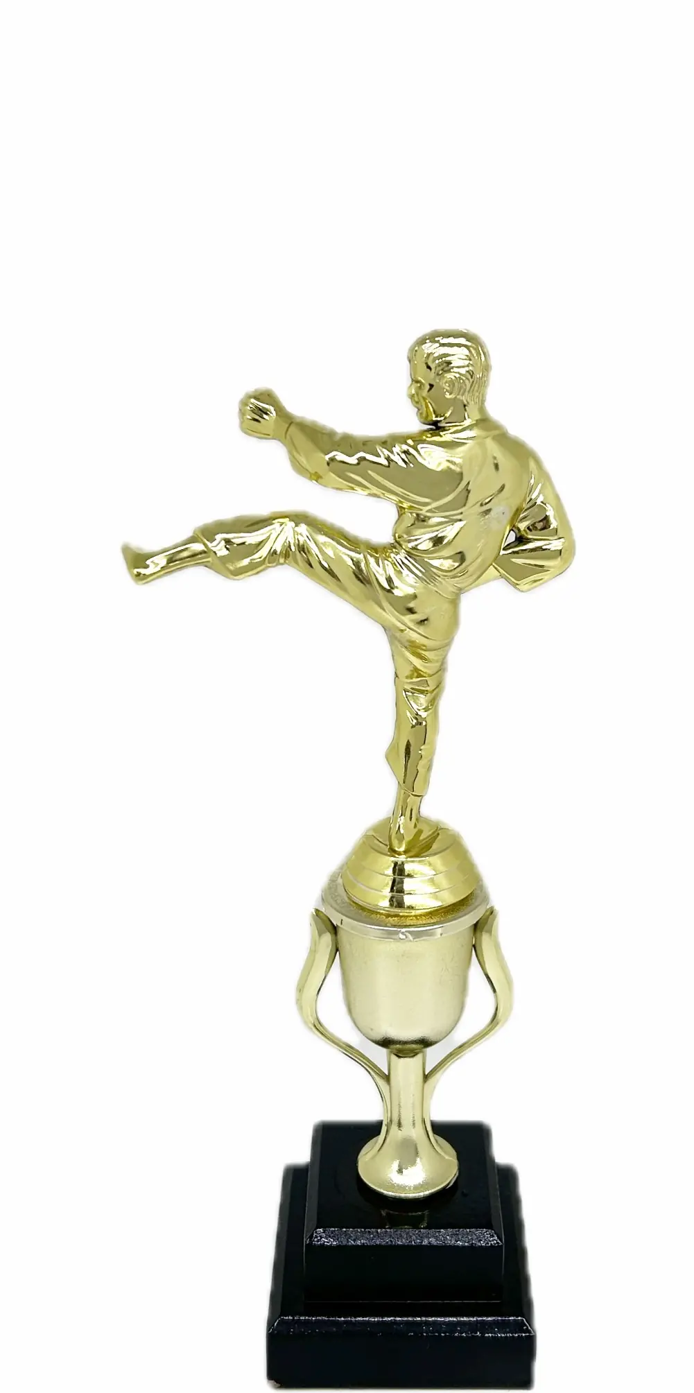 Karate Male Trophy 310mm