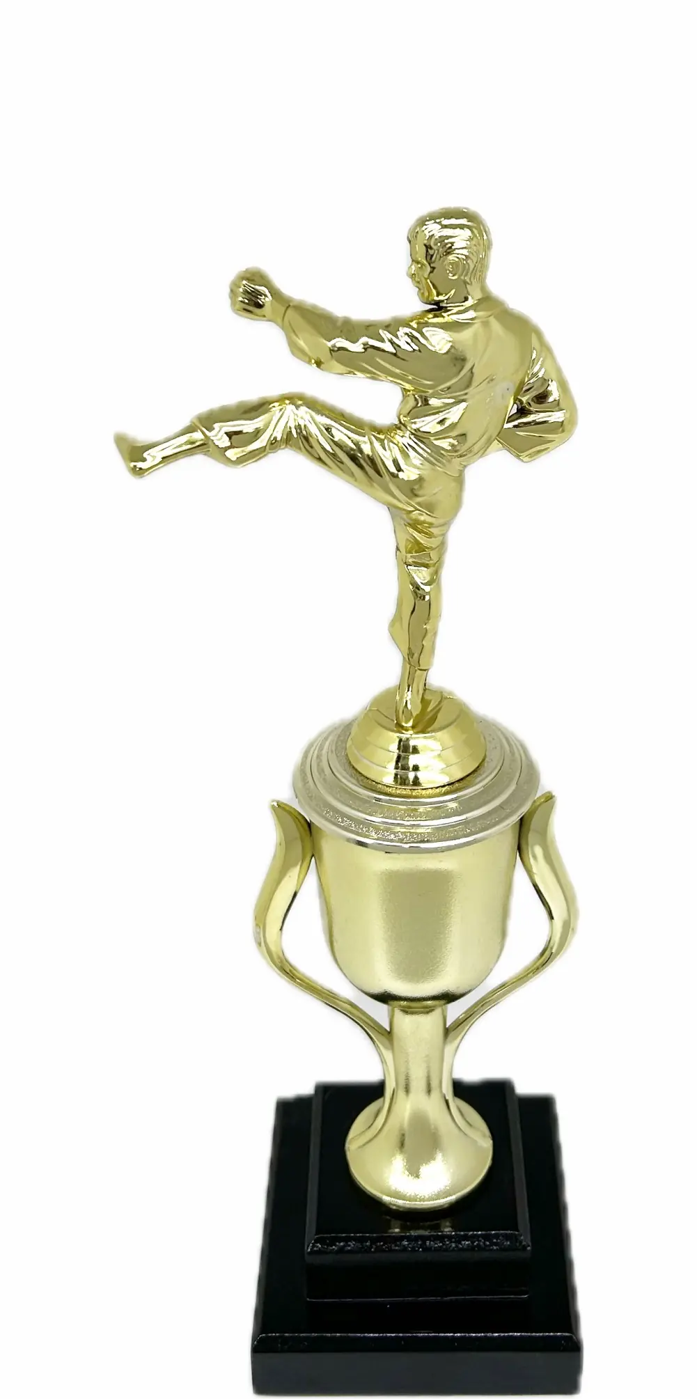 Karate Male Trophy 350mm