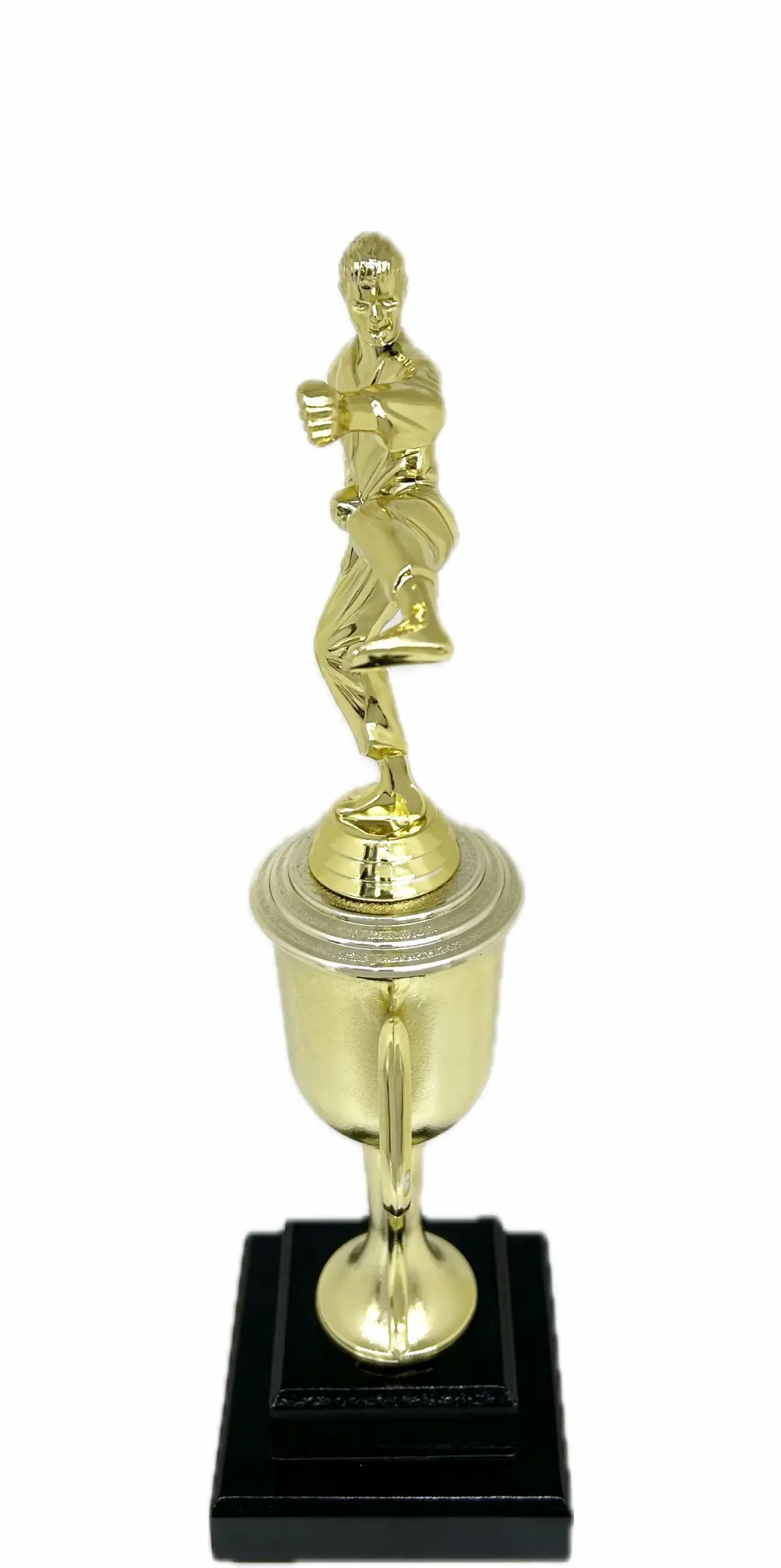 Karate Male Trophy 350mm