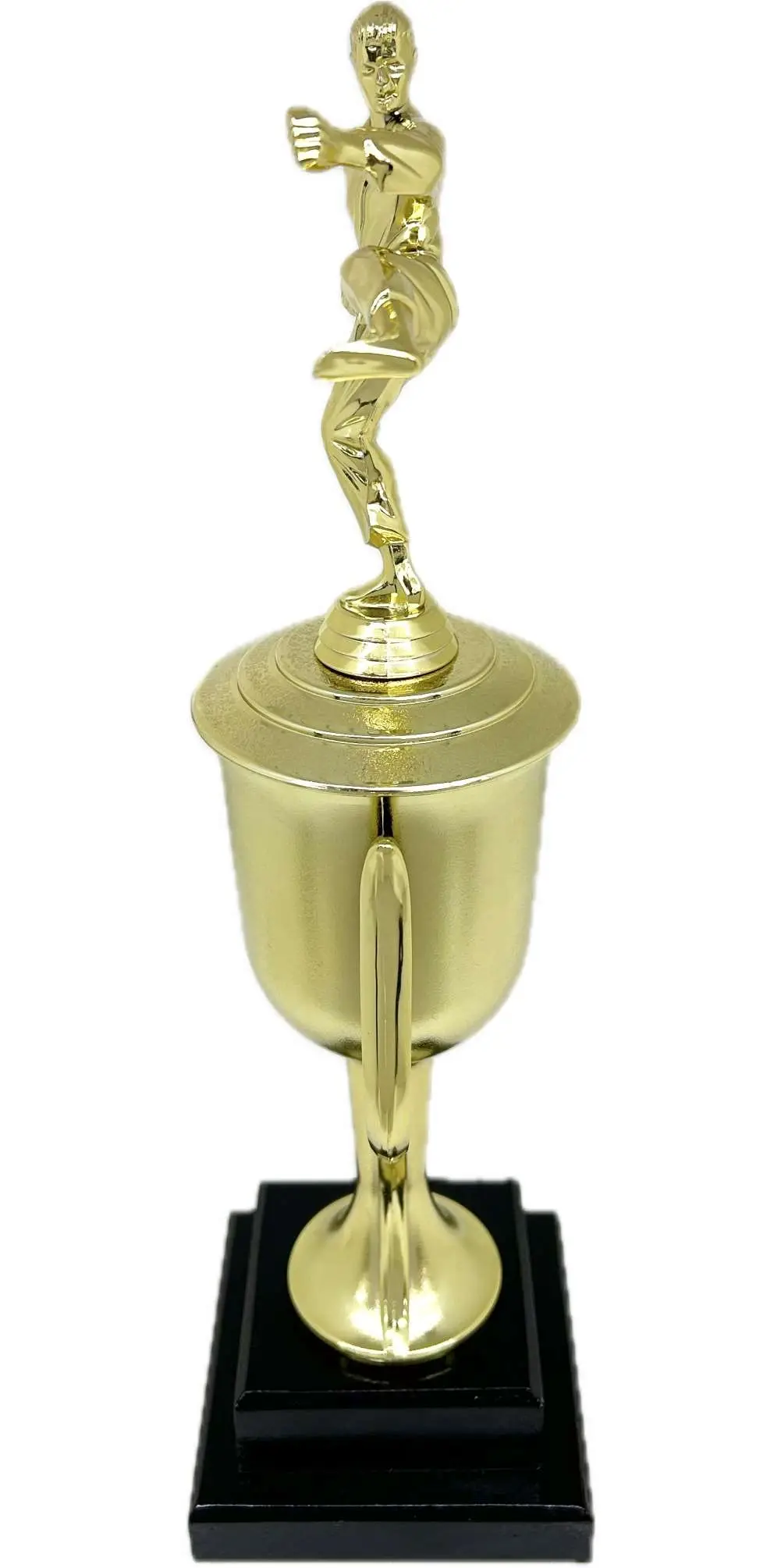 Karate Male Trophy 420mm