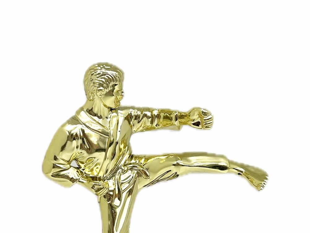 Karate Male Trophy 200mm