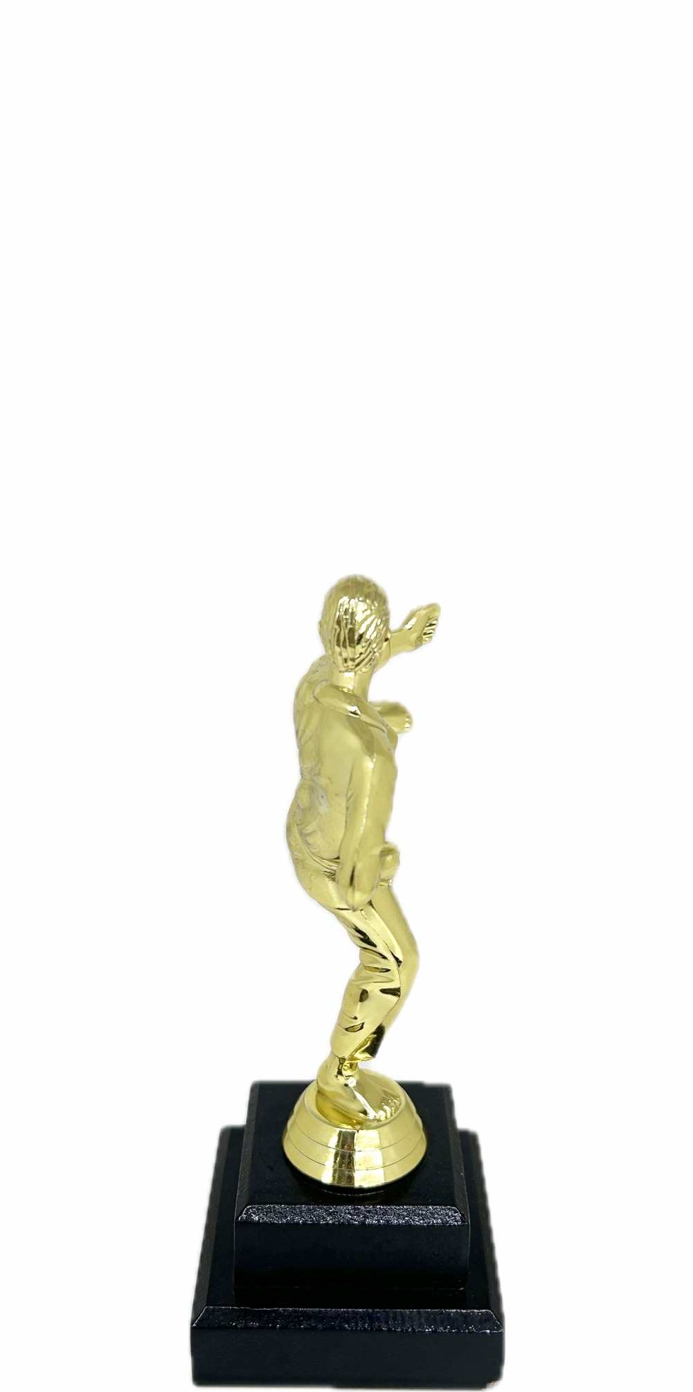 Karate Male Trophy 200mm