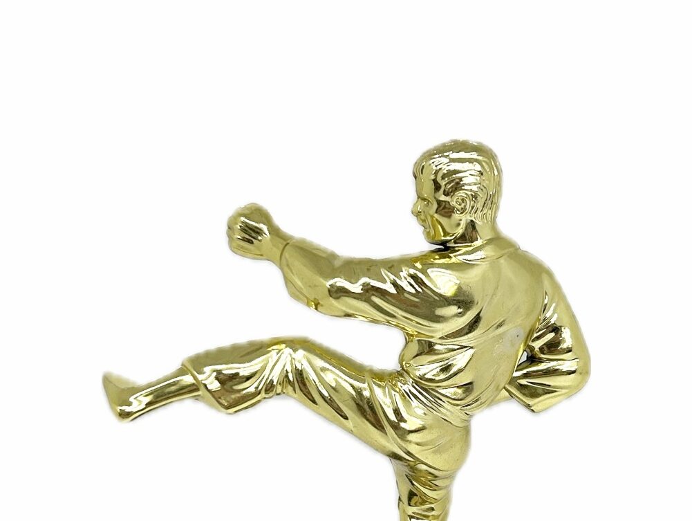 Karate Male Trophy 200mm