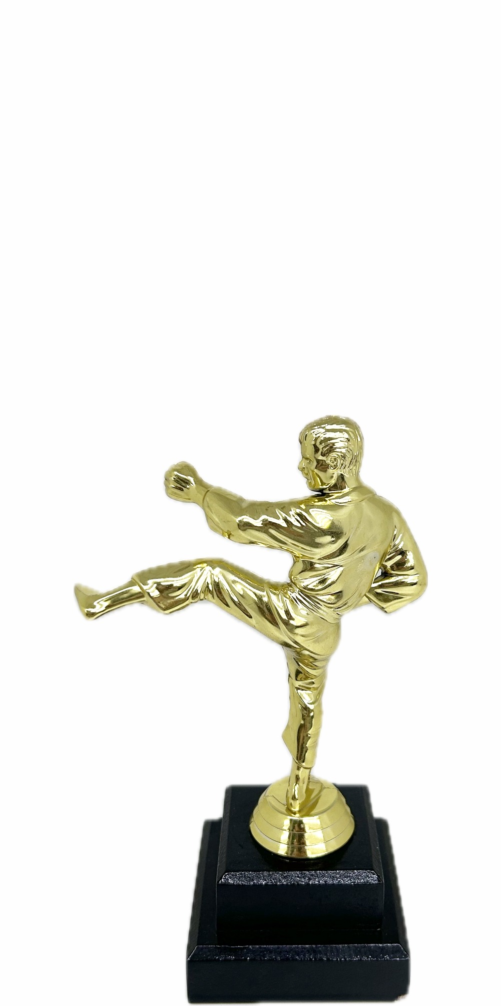 Karate Male Trophy 200mm