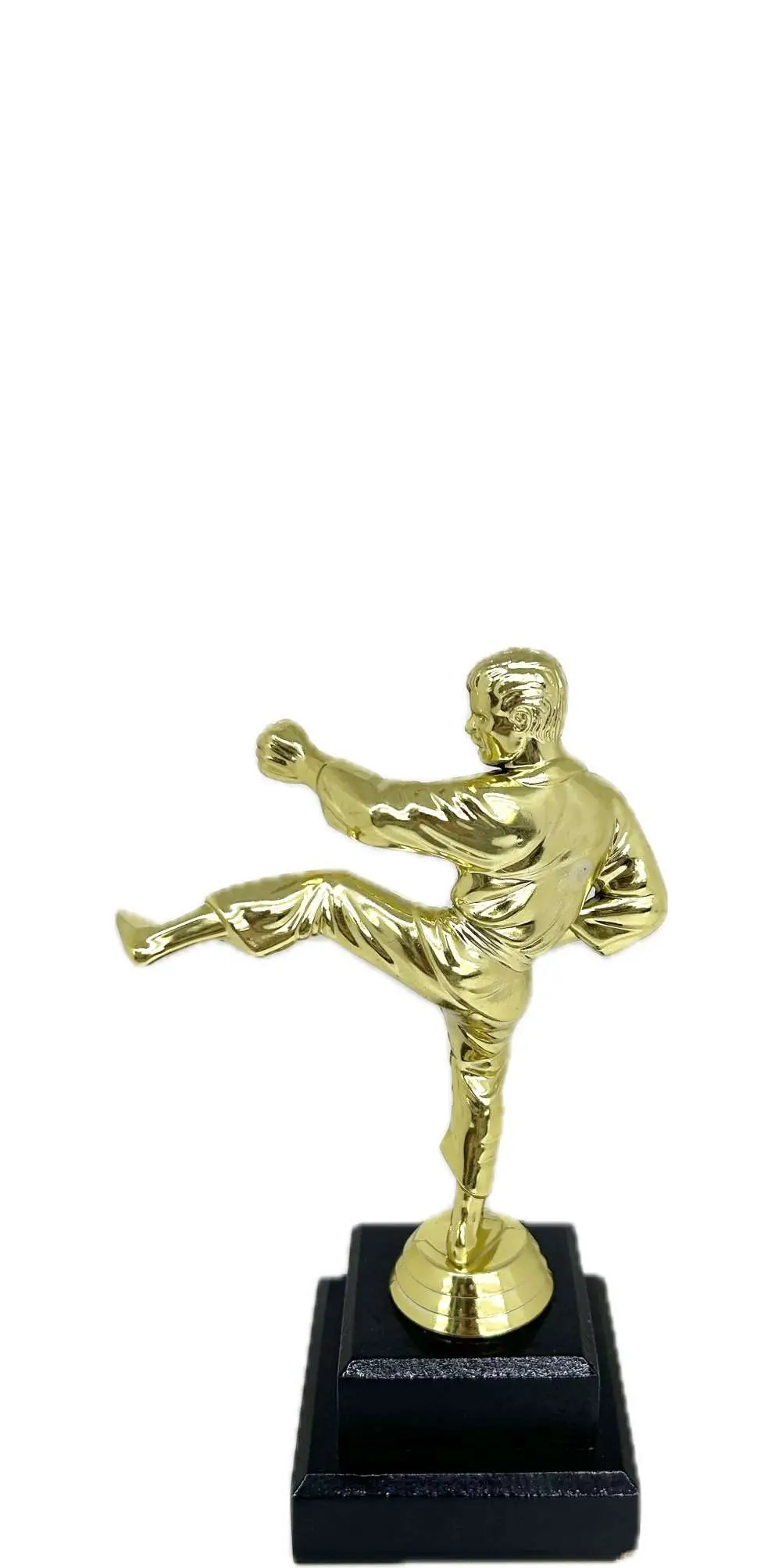 Karate Male Trophy 200mm