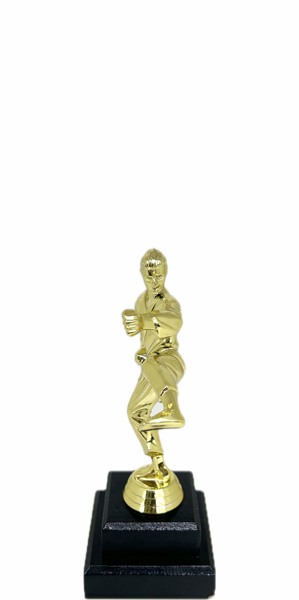 Karate Male Trophy 200mm