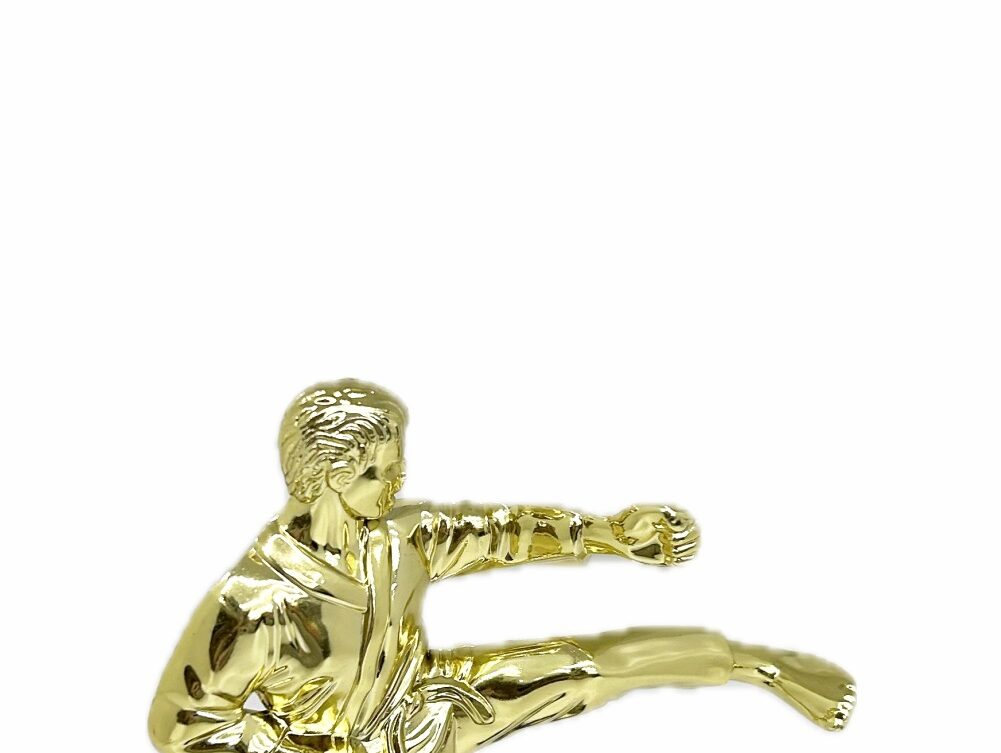 Karate Male Trophy 175mm