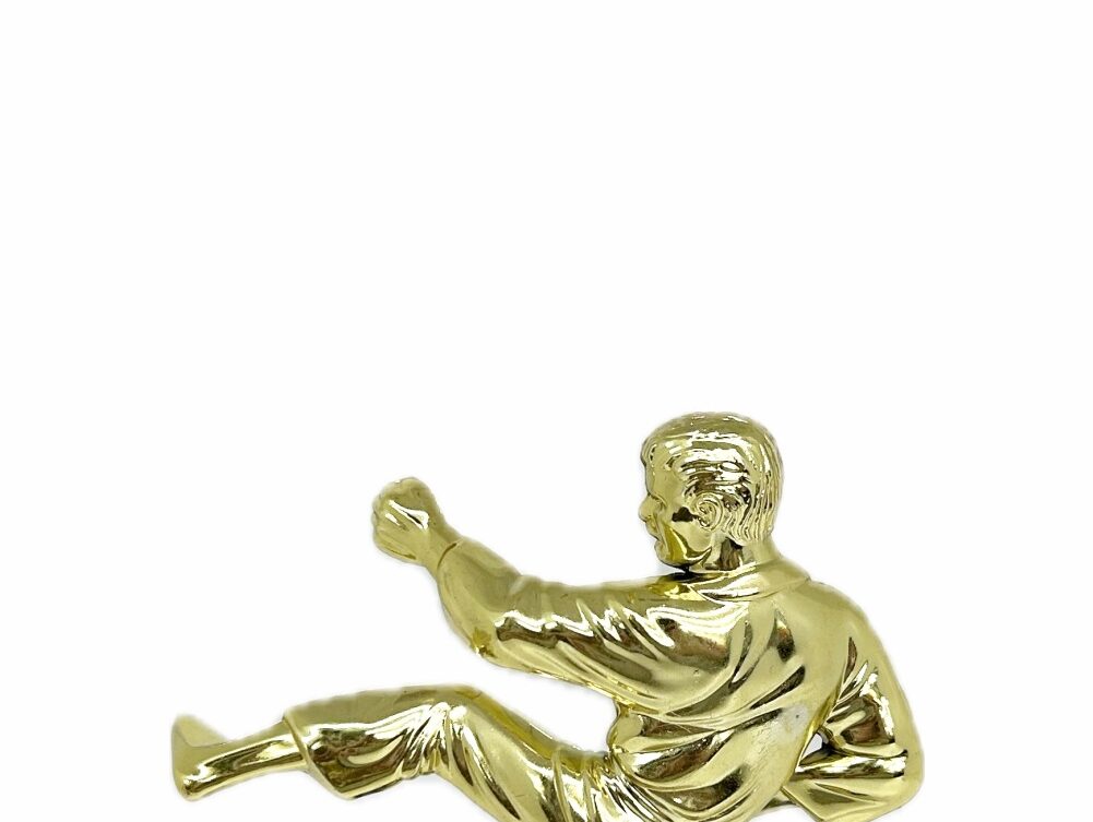 Karate Male Trophy 175mm