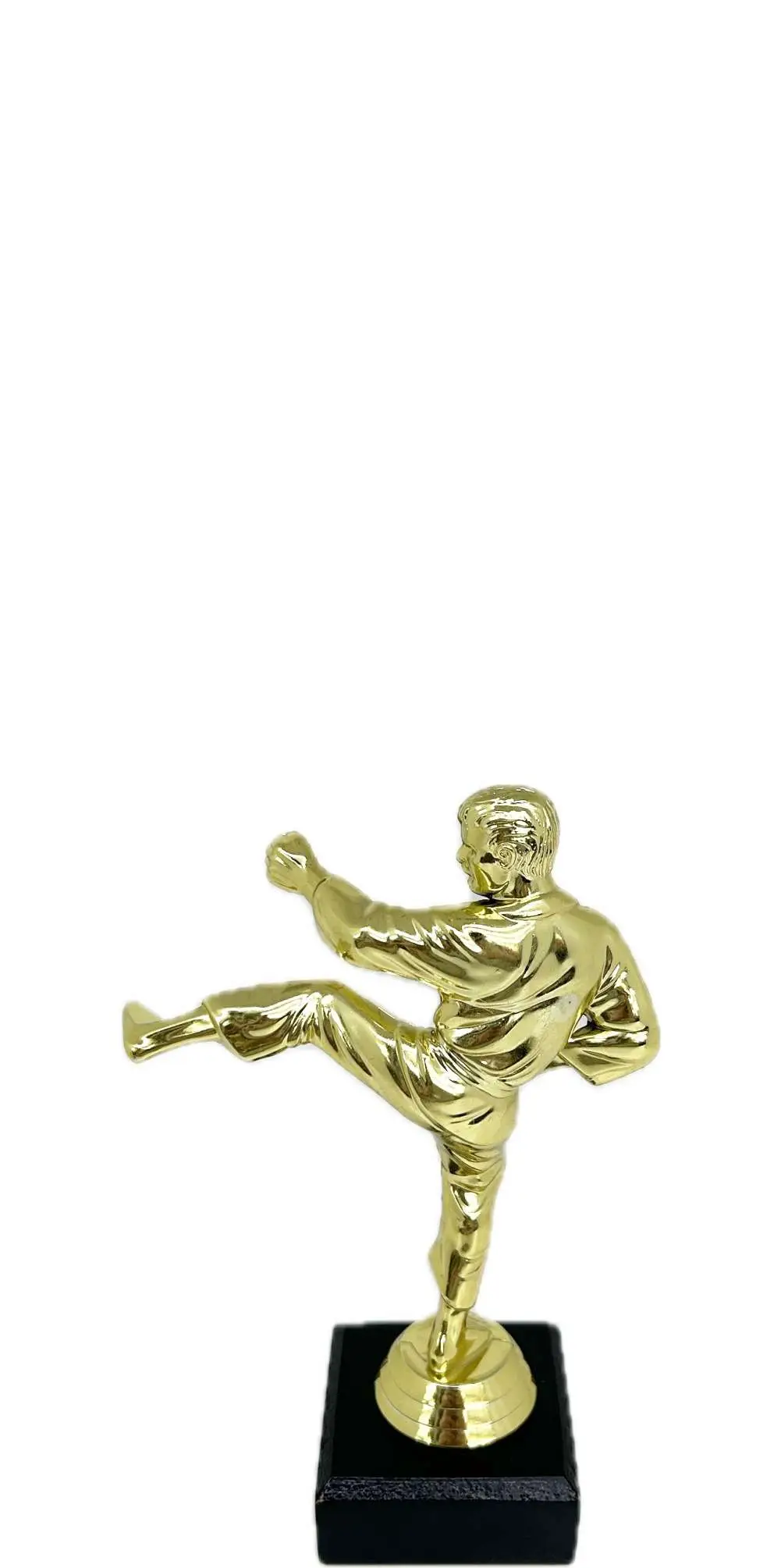 Karate Male Trophy 175mm