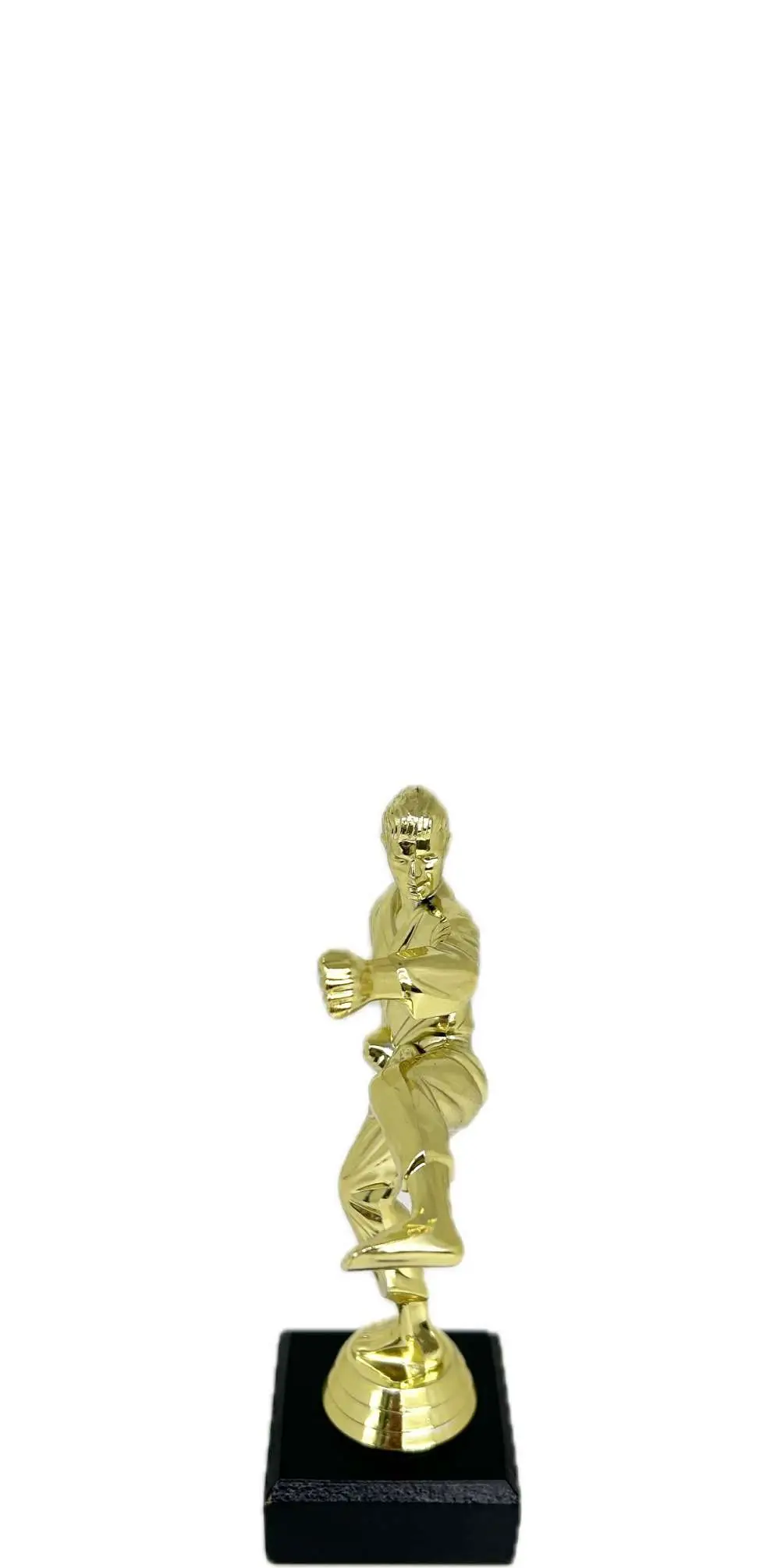 Karate Male Trophy 175mm