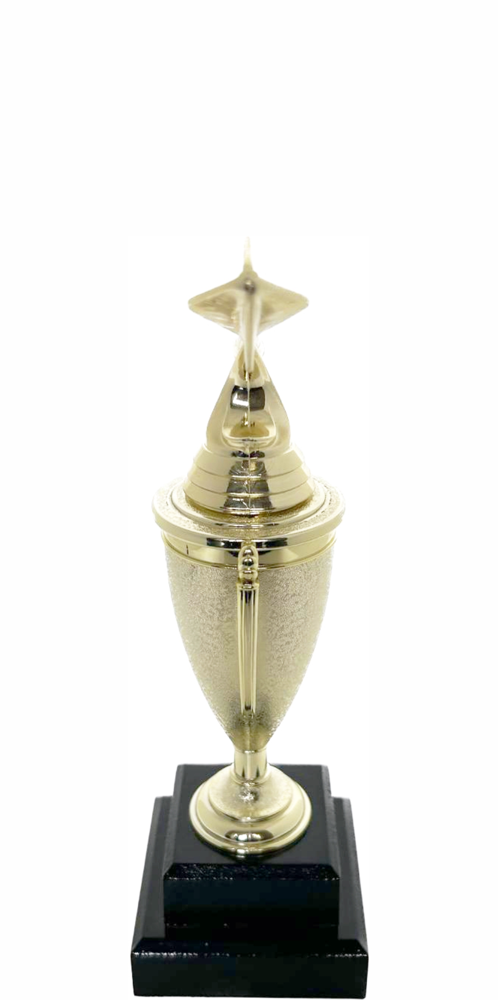 Dart Trophy 240mm
