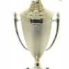 Dart Trophy 315mm