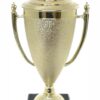 Dart Trophy 355mm