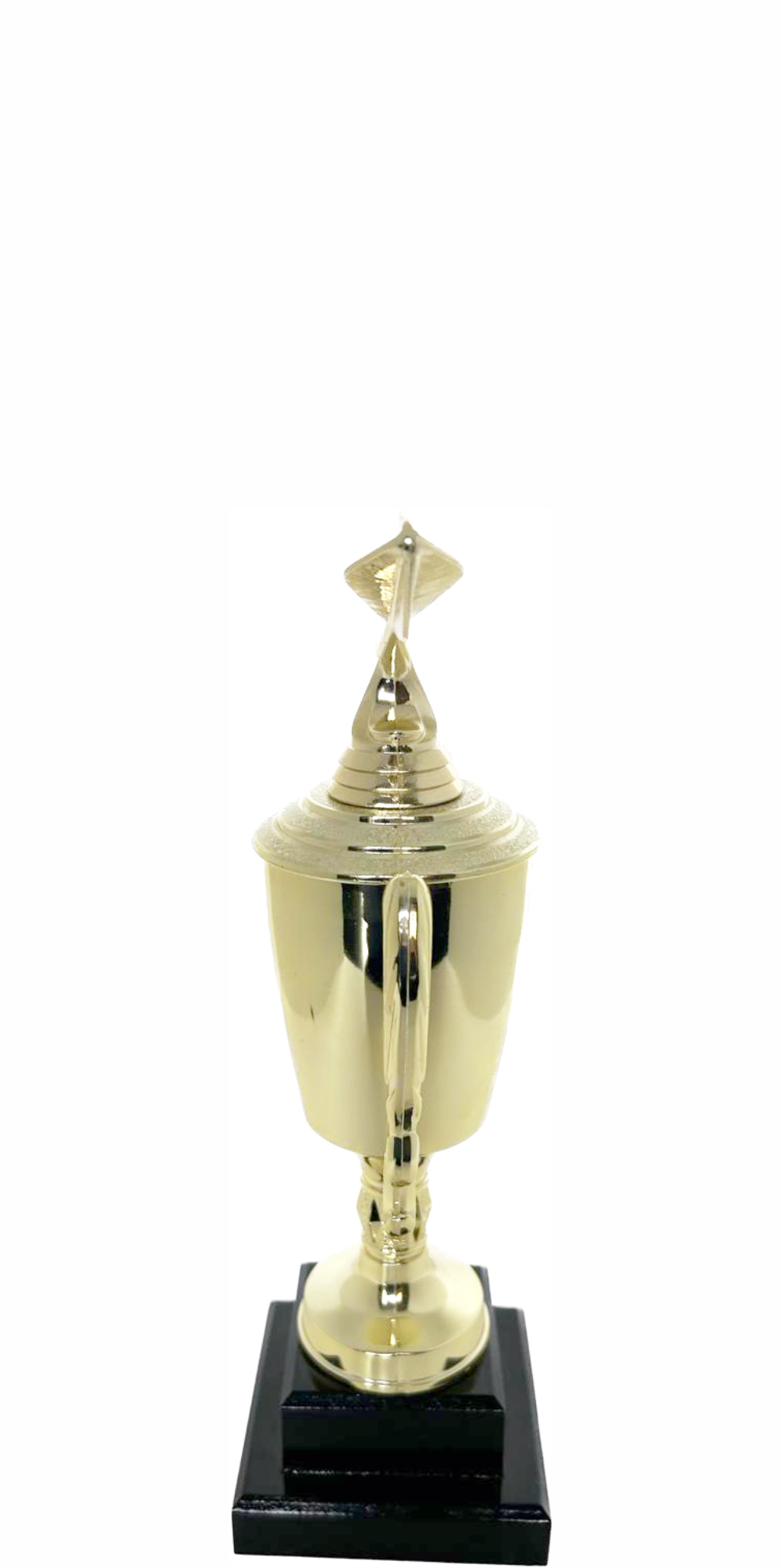 Dart Trophy 215mm