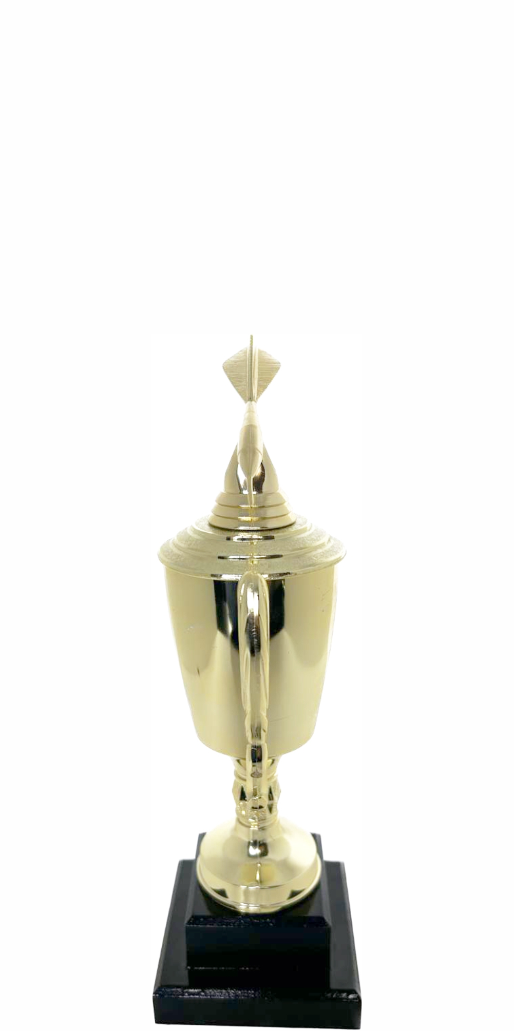Dart Trophy 215mm