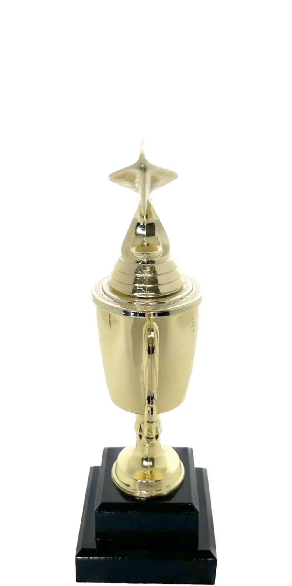 Dart Trophy 240mm