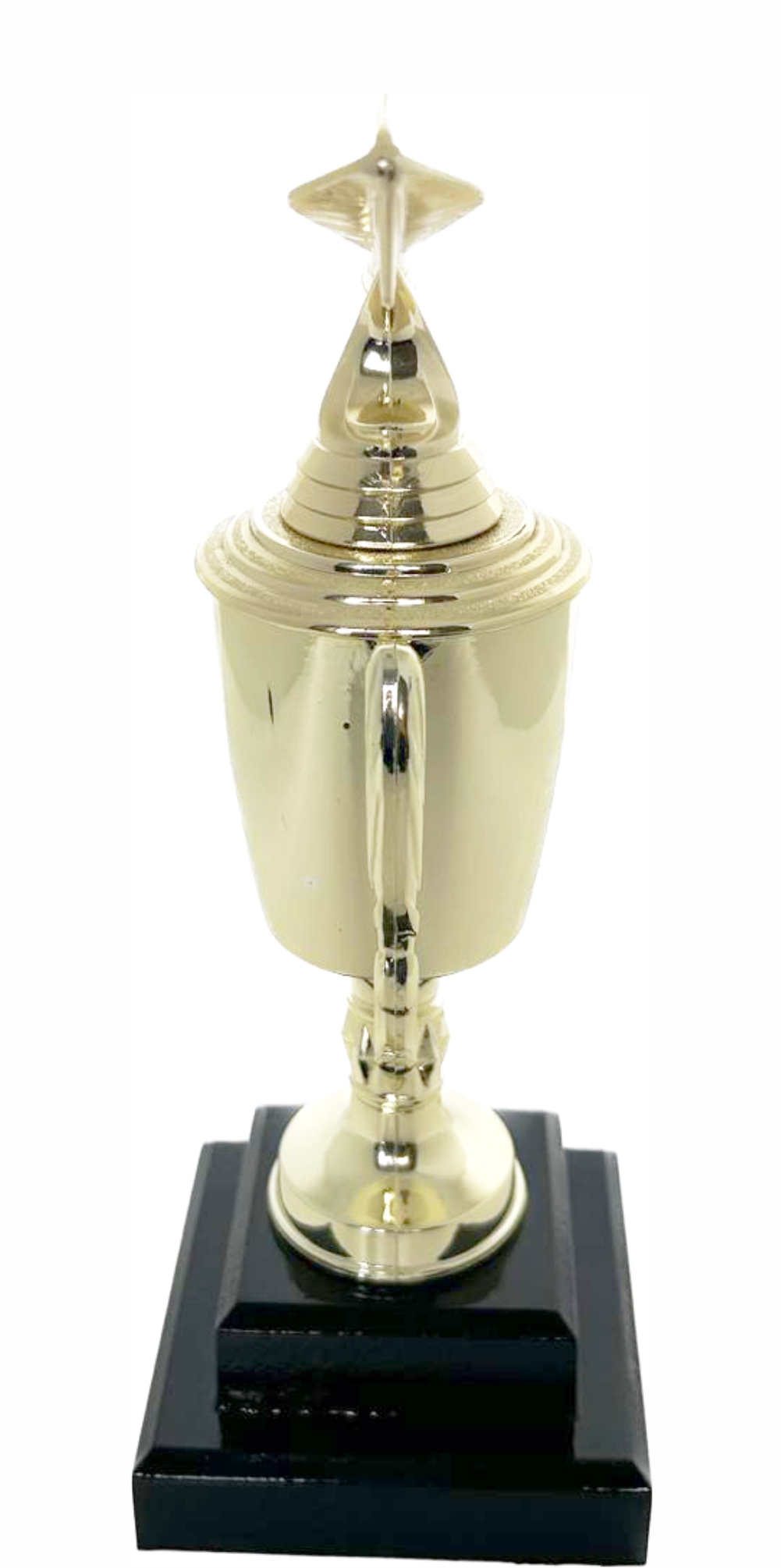 Dart Trophy 315mm