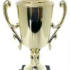 Dart Trophy 355mm
