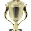 Dart Trophy 355mm