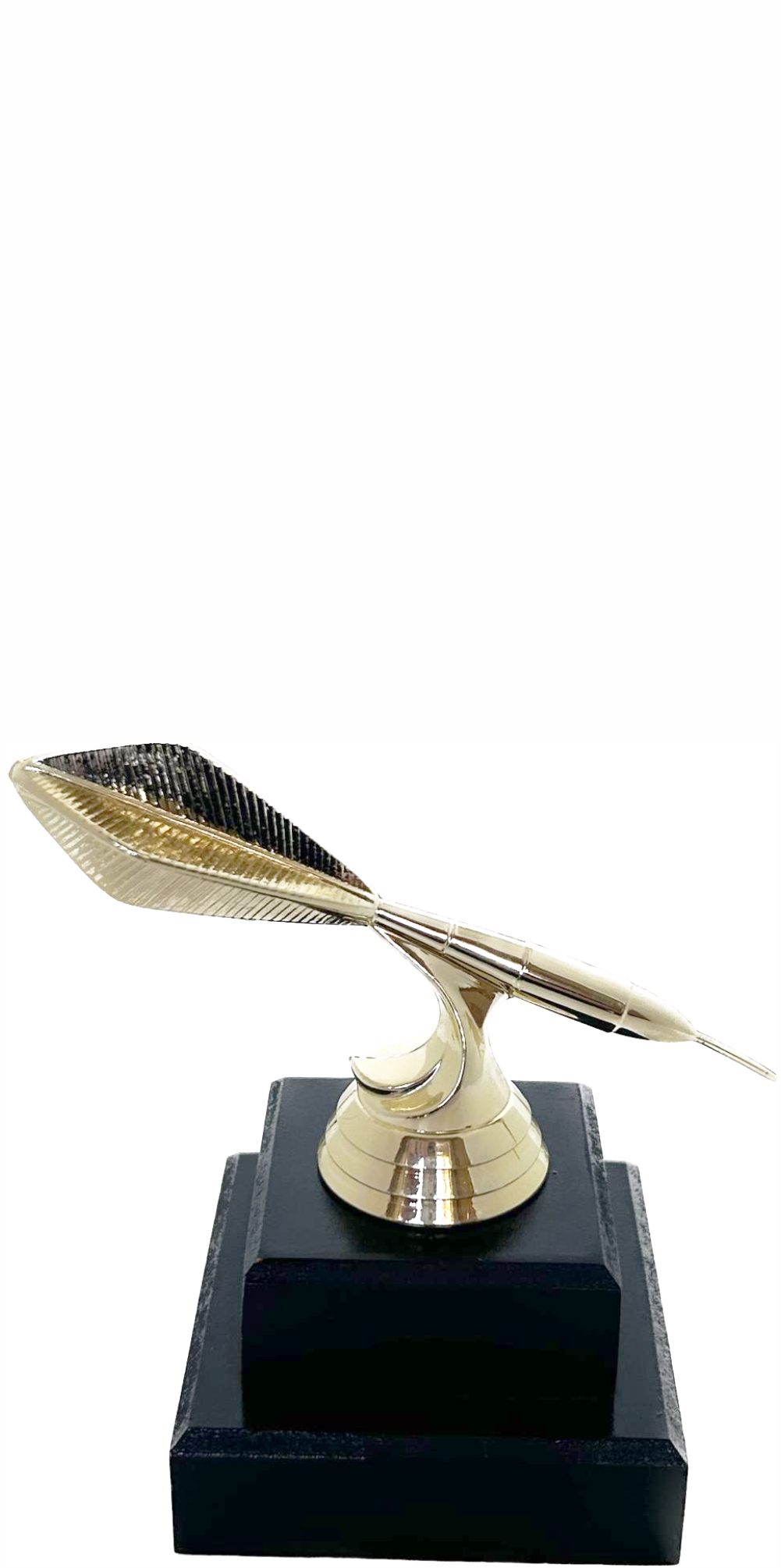 Darts Trophy 125mm