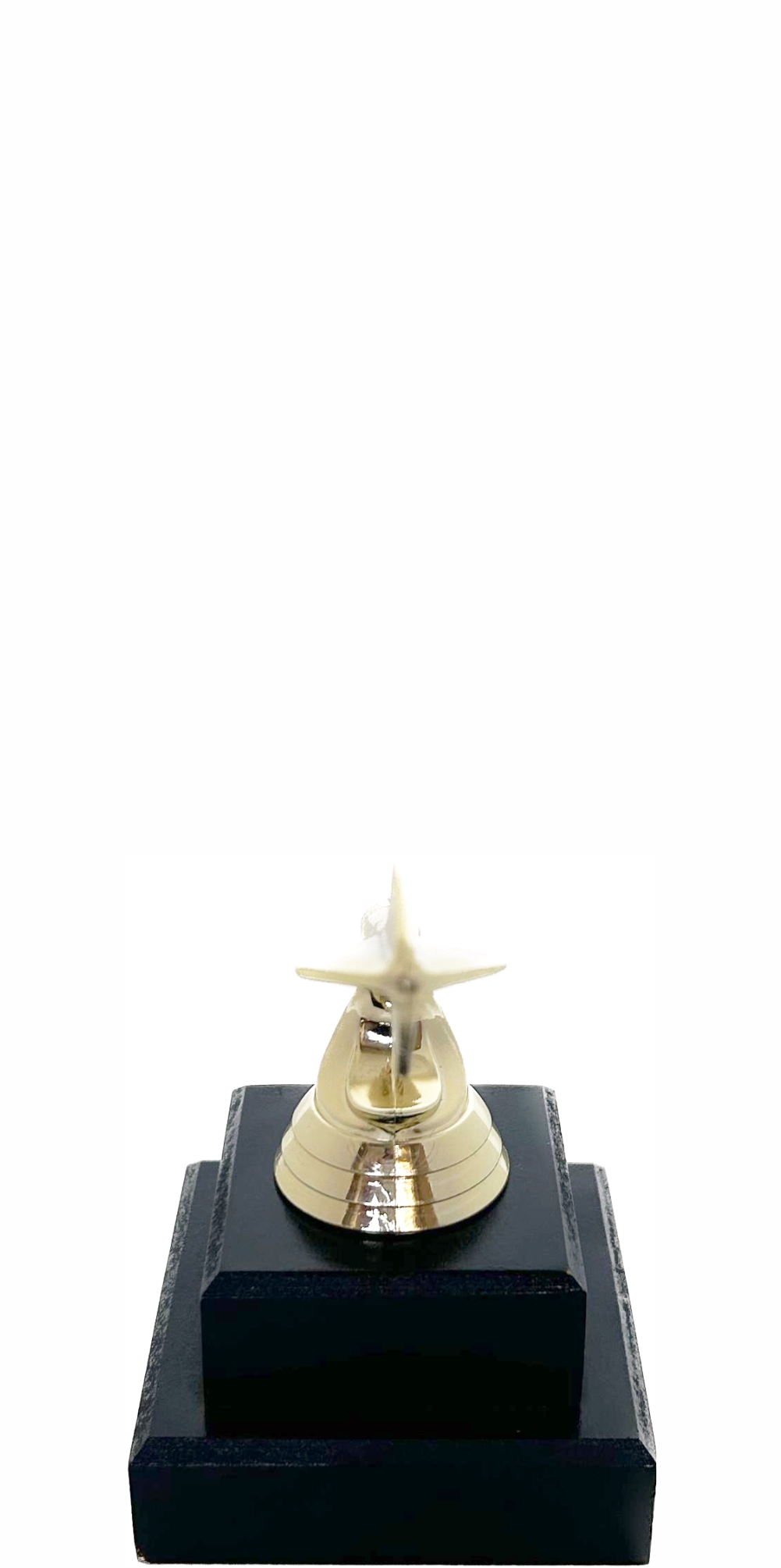 Darts Trophy 125mm