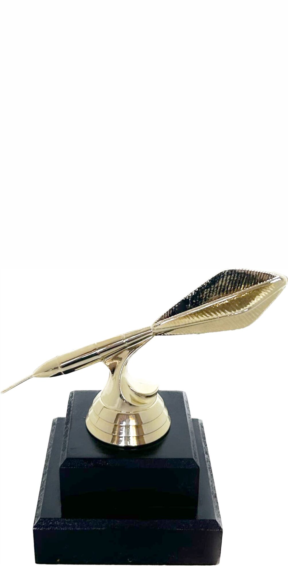 Darts Trophy 125mm