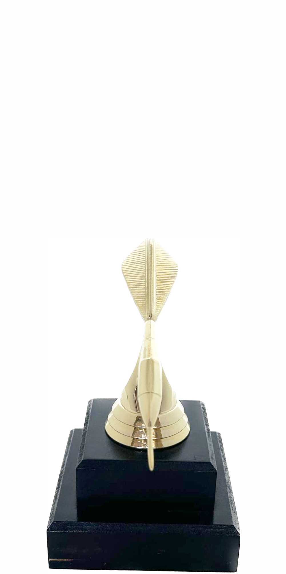 Darts Trophy 125mm