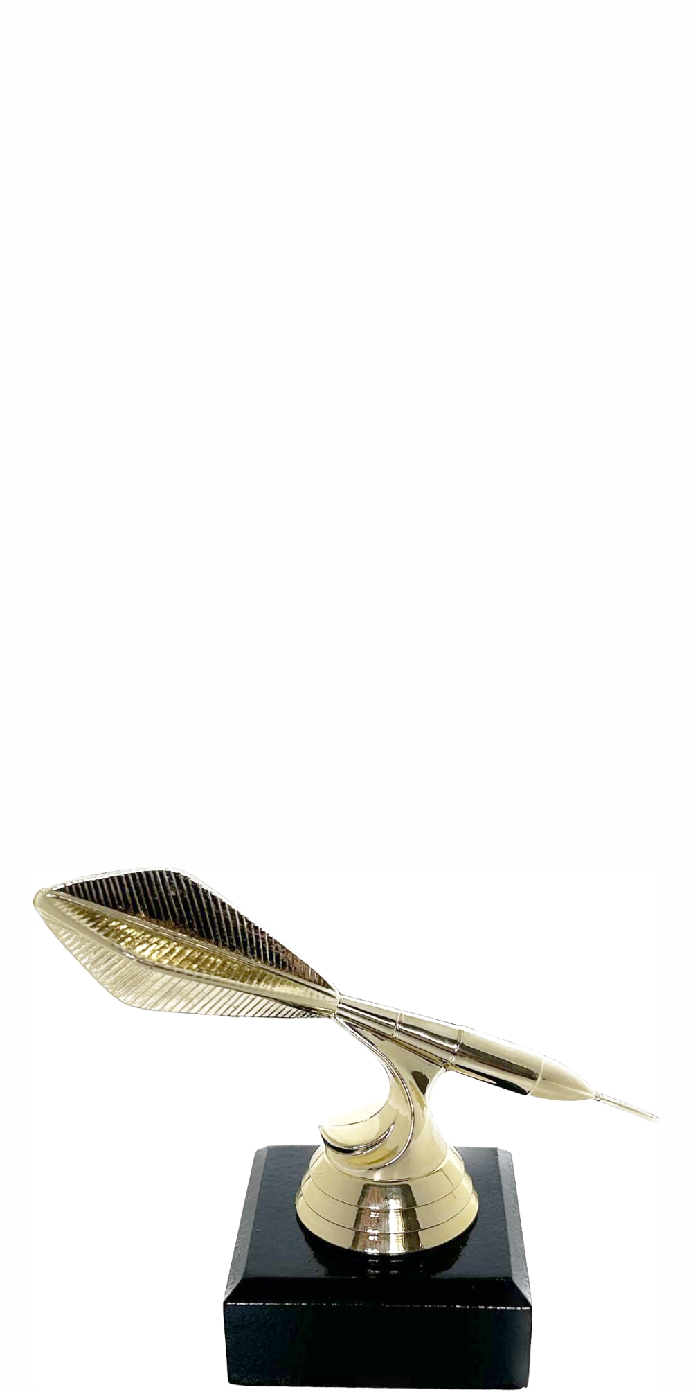Darts Trophy 100mm