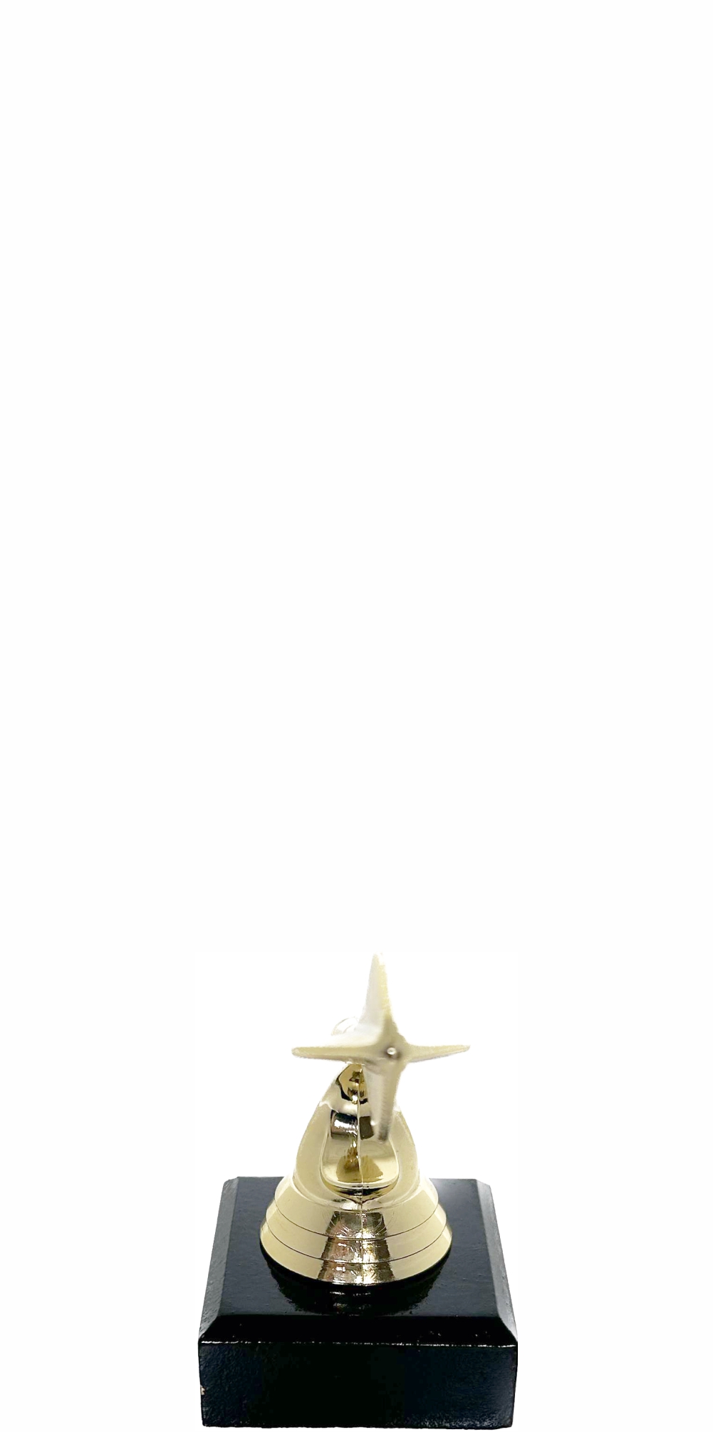 Darts Trophy 100mm