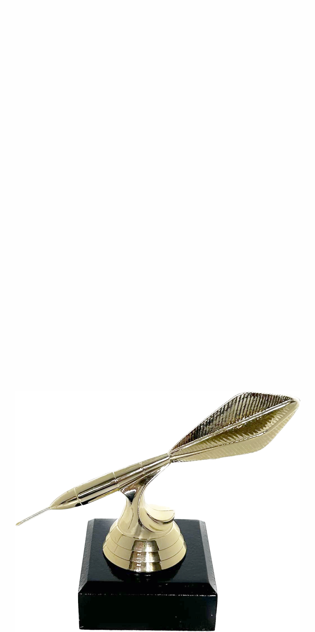 Darts Trophy 100mm